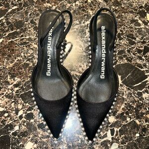 Alexander Wang Rina Low Crystal Slingback 37
